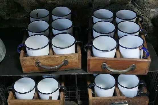 权志龙喜欢樱花和雏菊吗,权志龙最喜欢的所有东西