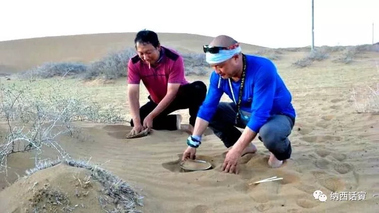 叶紫被雷劈穿越到异界,关于叶紫的穿越小说