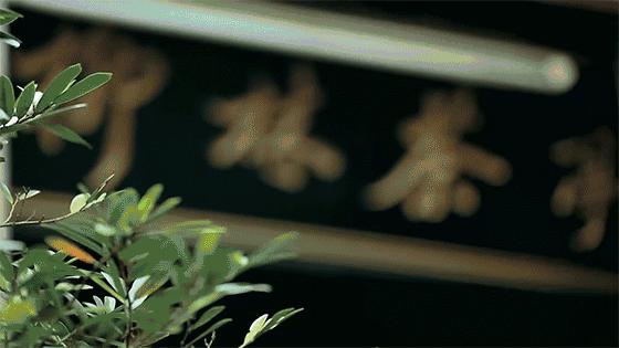 长沙靖港古镇与乔口古镇哪个好玩,乔口古镇有什么好玩的