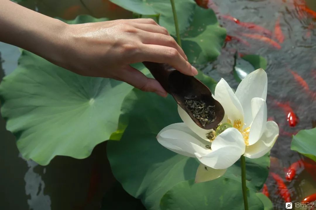 大叔花700万建的花园别墅,太湖石苏州