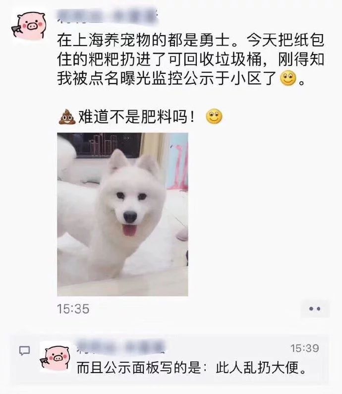 猫砂丢干垃圾还是湿垃圾,猫砂和猫屎可以扔垃圾桶吗