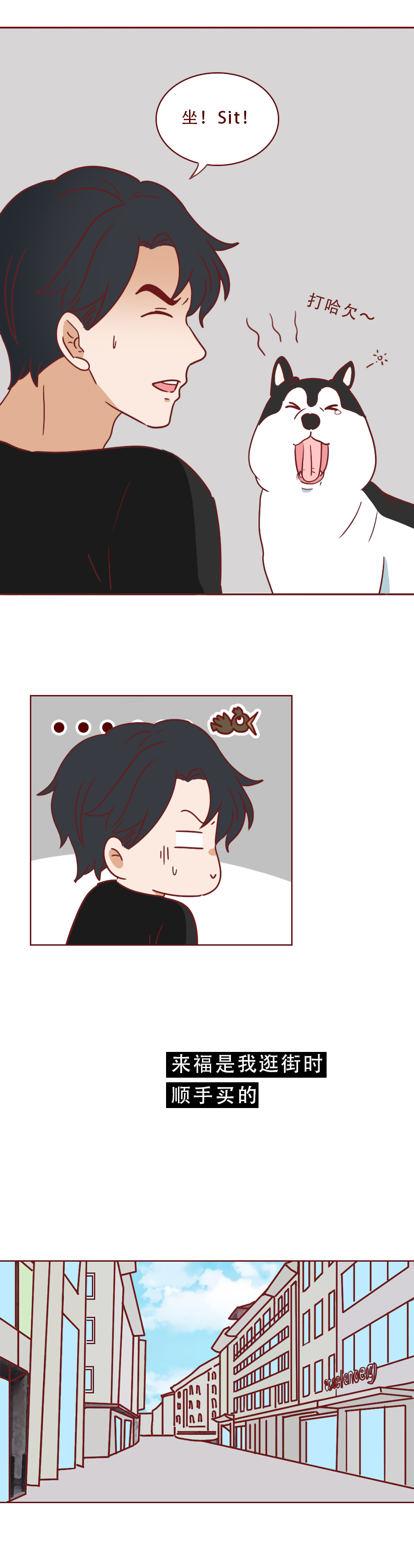 捡回来抑郁的猫,捡回一只小猫原居民抑郁了