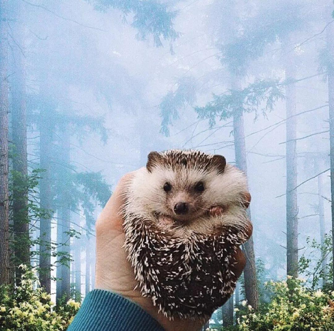 艺术摄影修图,艺术拍照修图