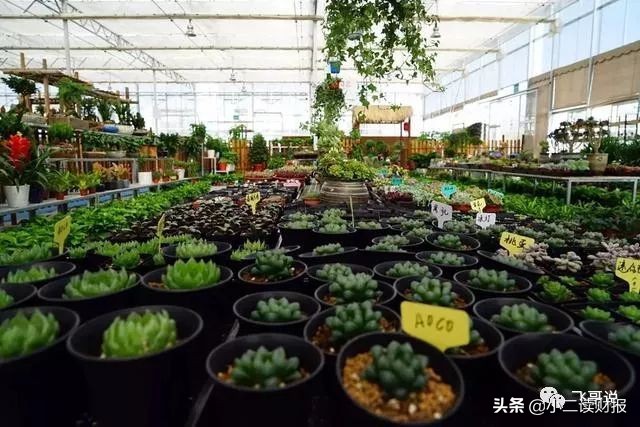 四川成都各大批发市场值得收藏