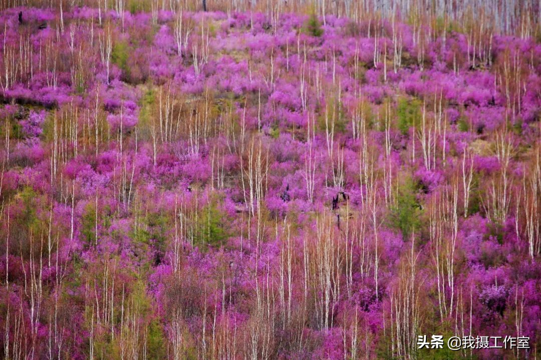 第16届国际摄影艺术展获奖作品,第29届全国摄影艺术展览作品集