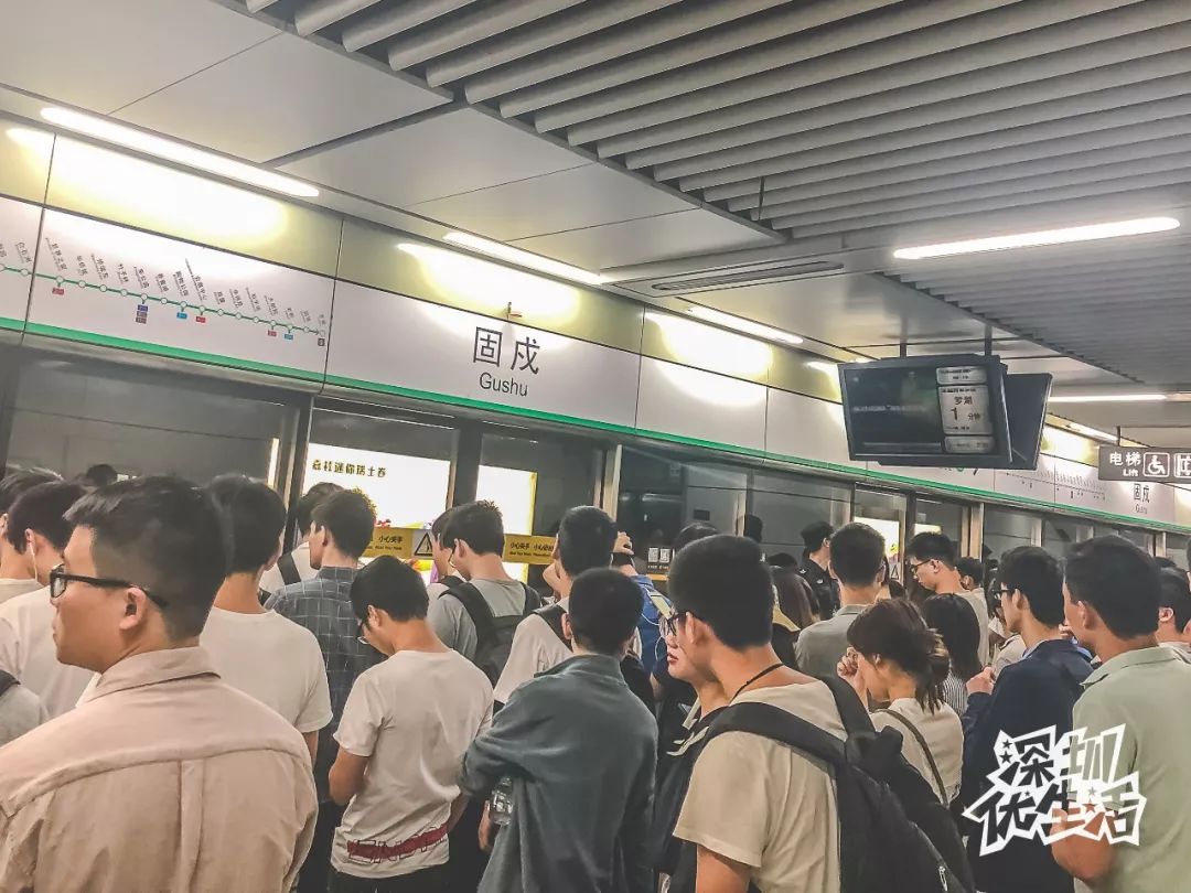 固戍深圳,固戍人在深圳