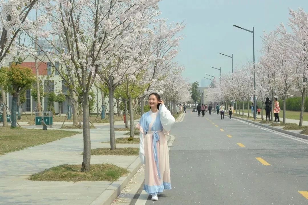 泰州职业技术学院招生咨询,泰州职业技术学院2019年招生简章