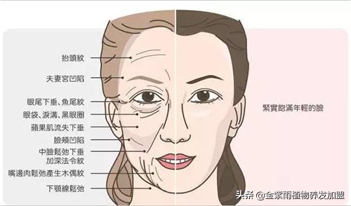 金紫雨养发馆加盟官方网站,养发馆经营技巧和方法有哪些