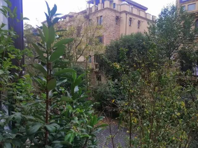 上海周边买房,上海买房视频