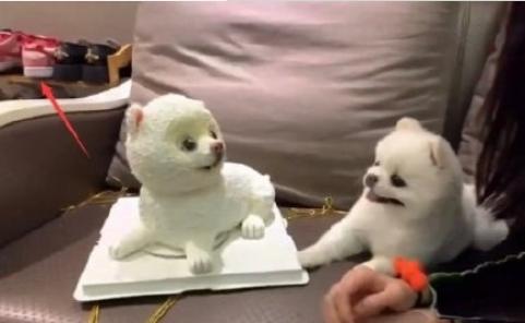 欧阳娜娜关晓彤同款马丁靴,欧阳娜娜穿潮鞋