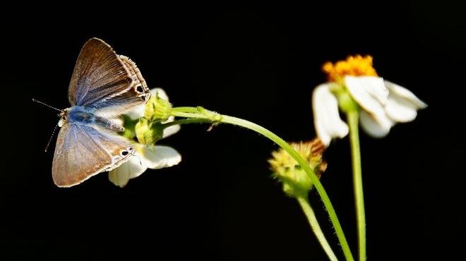 老是咽唾液有什么坏处,唾液的好处