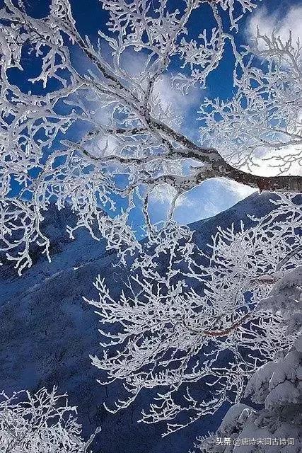 形容雪花飘落人心情舒畅的诗句,形容雪花飘落意境诗句