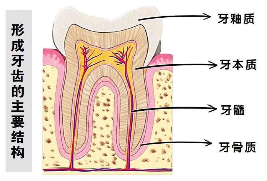 姚晨孩子片段,姚晨晒孩子视频全集