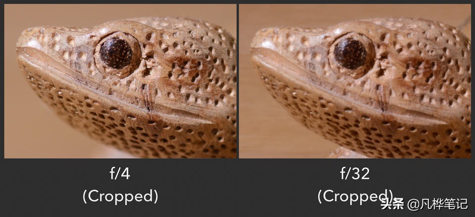 学习摄影入门画质,学习摄影有哪些常识