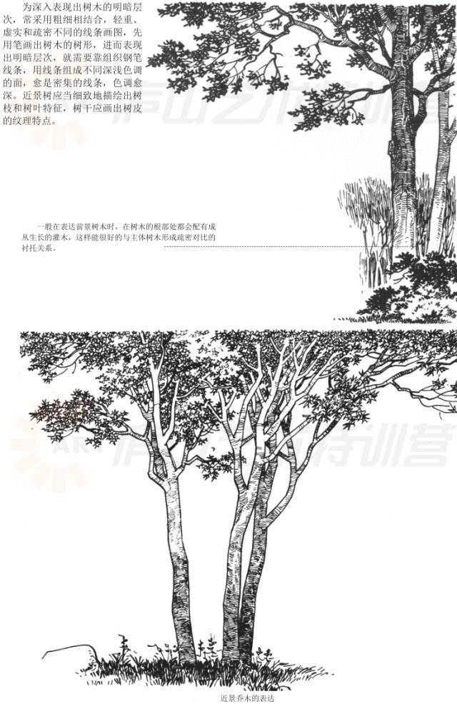 儿童绘画涂色基础入门教程,零基础新手绘画入门教程