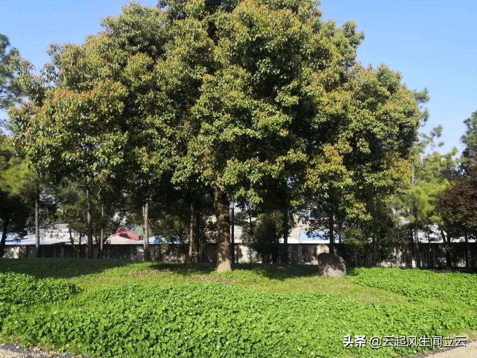 随州县城网红打卡地,随州市曾都区旅游景点