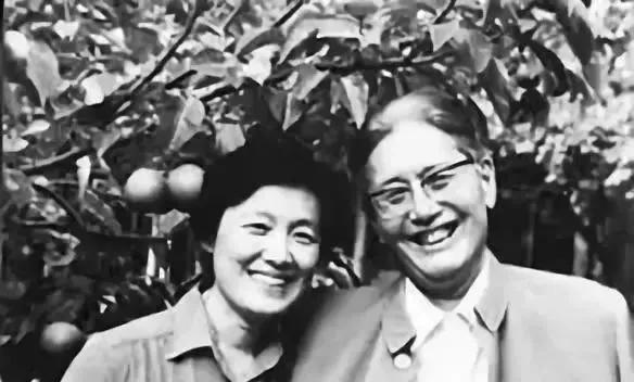 洪晃明星八卦,洪晃的观点