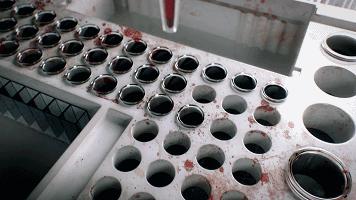 全球第一漂亮女子,揭秘全球第一女骗子