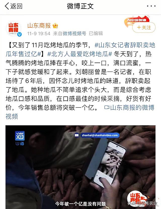 女记者辞职,记者辞职卖地瓜年入一亿引争议