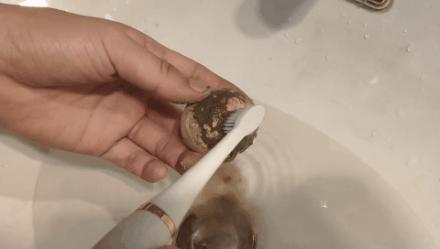 牙黄最有效变白方法,牙黄变白的正确方法学生党