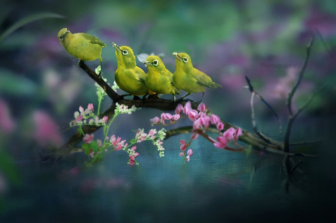 苏东坡趣闻全集,苏东坡趣闻趣事