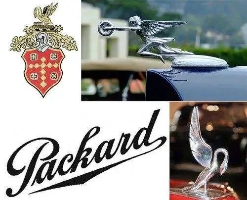 快狗打车和天鹅到家的关系,天鹅到家快狗打车