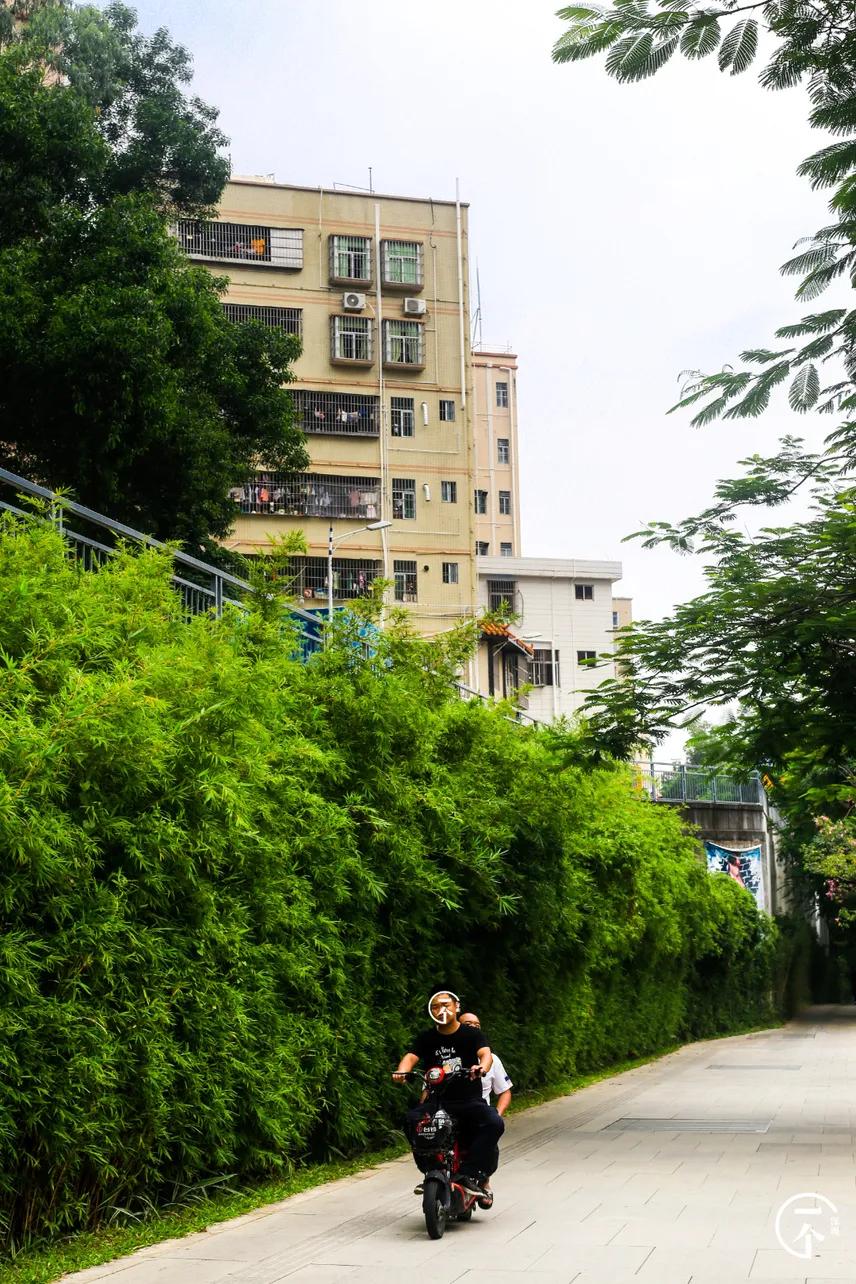 遍地华为男，深圳坂田有多绝？