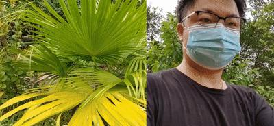 nova9pro和hinova9pro,华为nova9pro快速上手