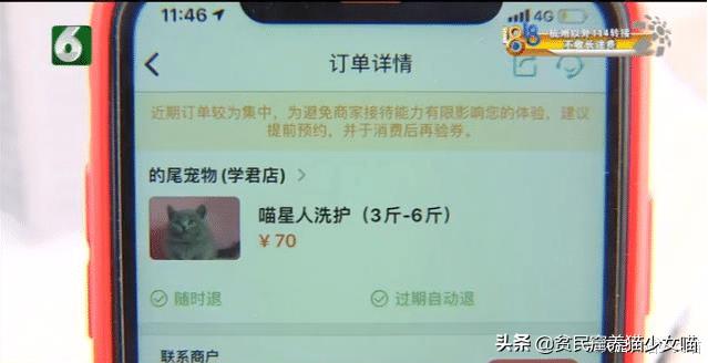 带猫咪出去洗澡就狂躁,如果英短猫发生了应激反应怎么办