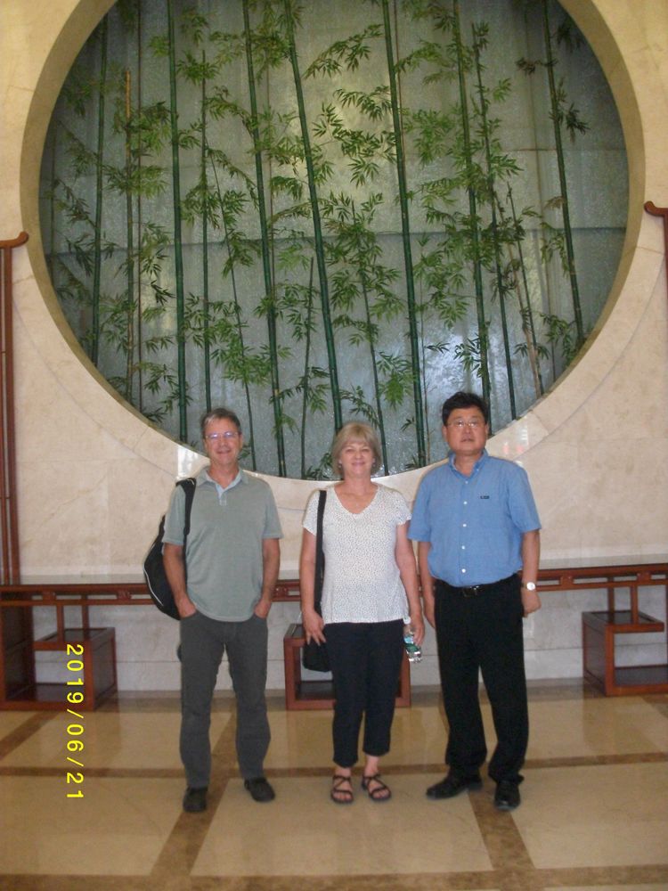 外国游客夸赞中国,外国友人赞美中国