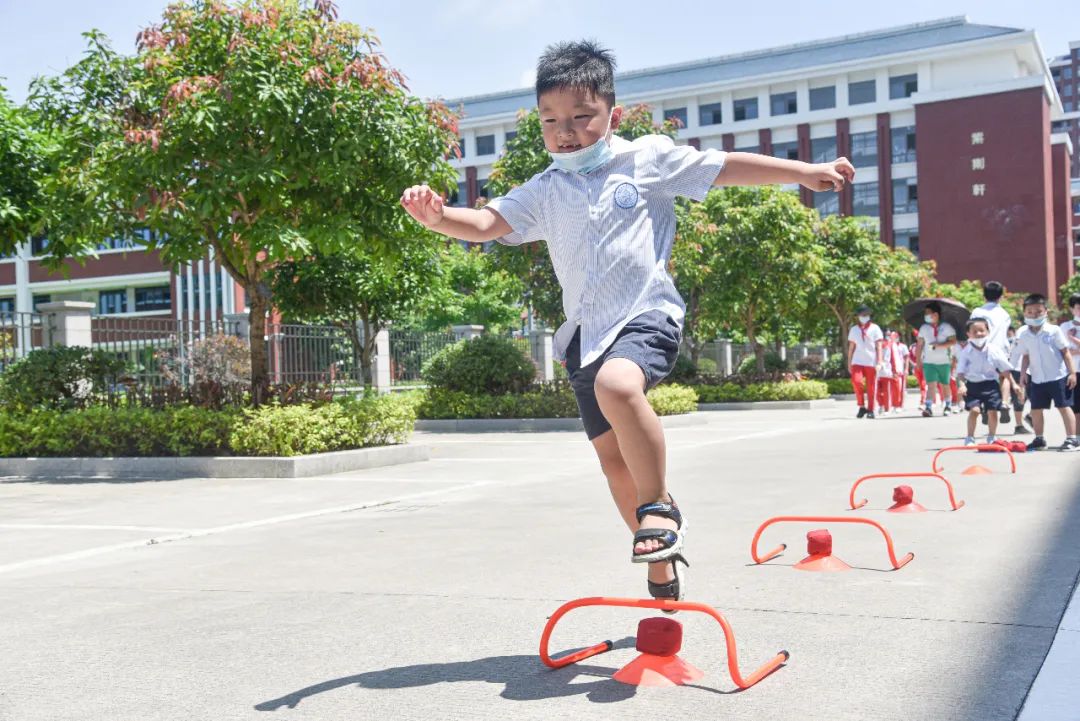 北师大福清附校幼小衔接小学,北师大版幼小衔接学数学