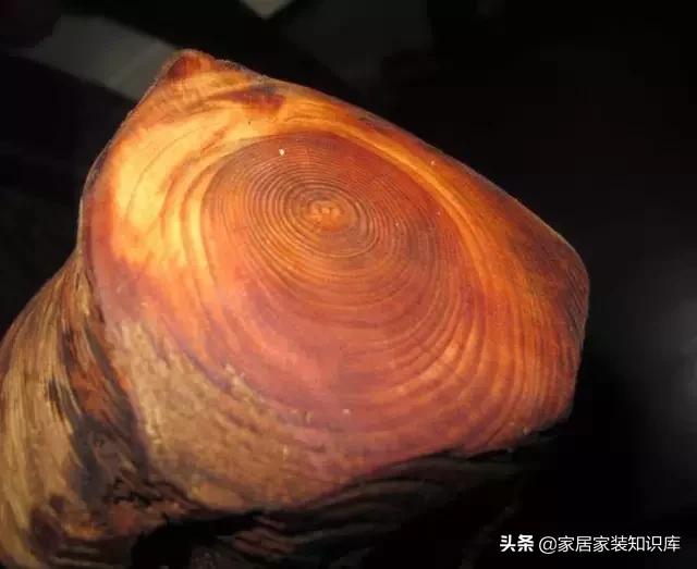 家具行业木材的介绍,我国民间家具常用木材