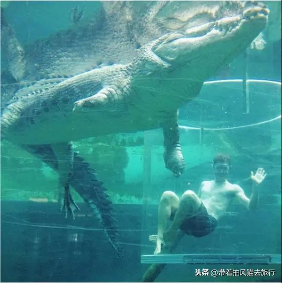 澳大利亚极致之旅,来澳大利亚必买