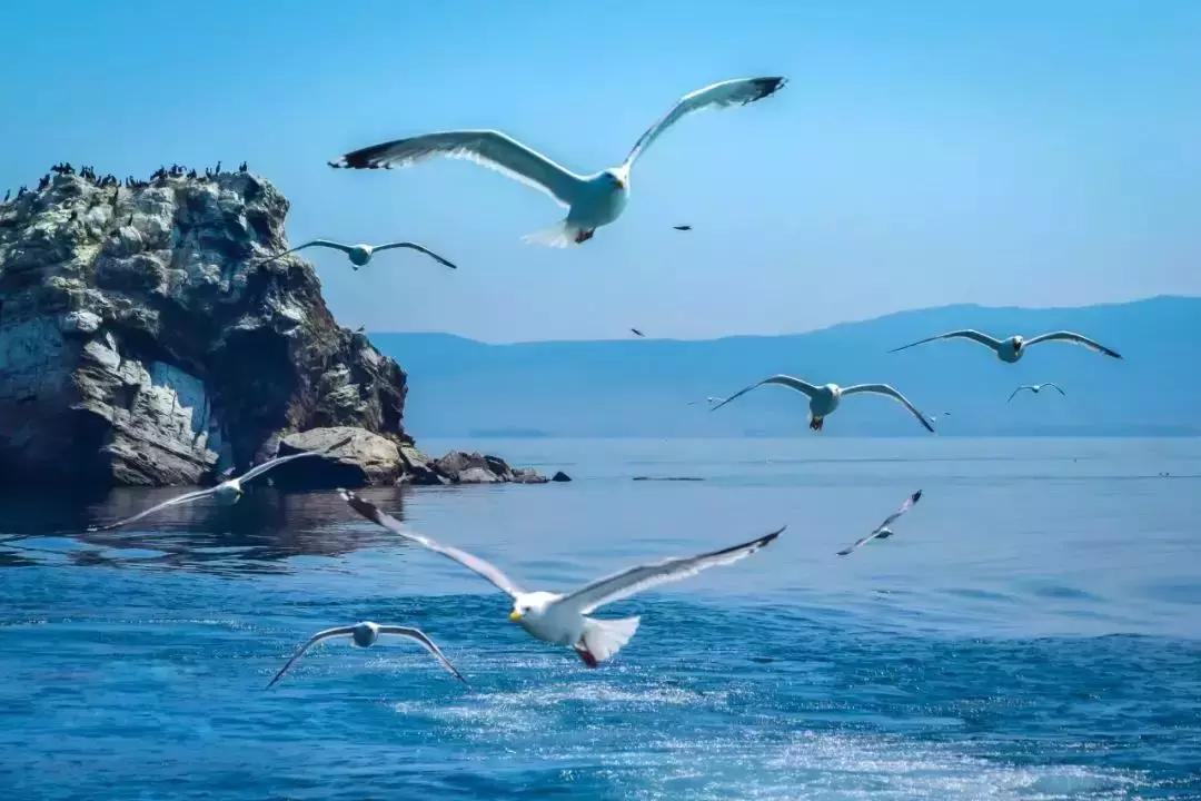 贝加尔湖世界淡水湖,贝加尔湖世界上最深的咸水湖