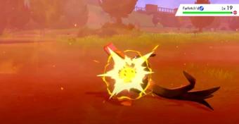 宝可梦剑盾萨路德专属技能,宝可梦剑盾蛋组划分表