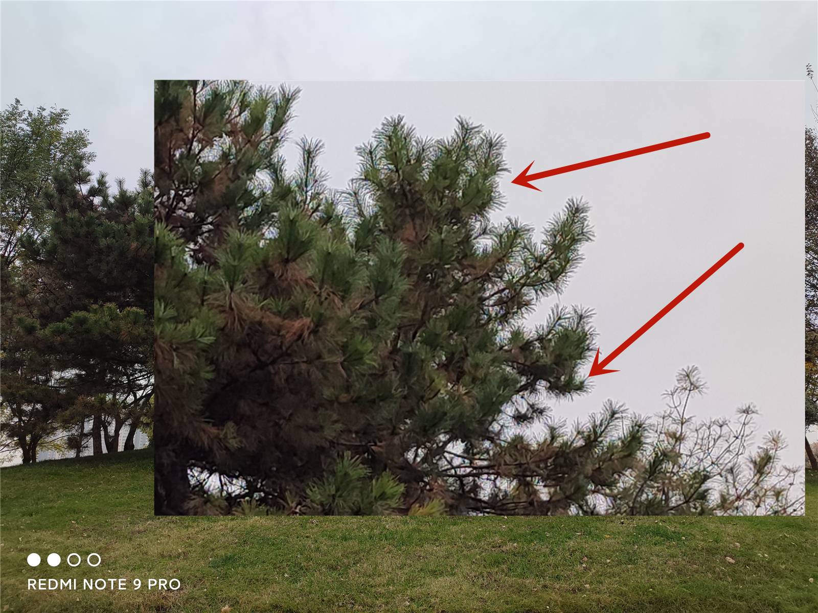 redminote115g璇勬祴瑙嗛,redminote11pro璇勬祴