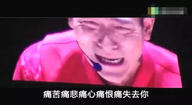 刘德华为啥娶朱丽倩,刘德华娶朱丽倩的真正原因