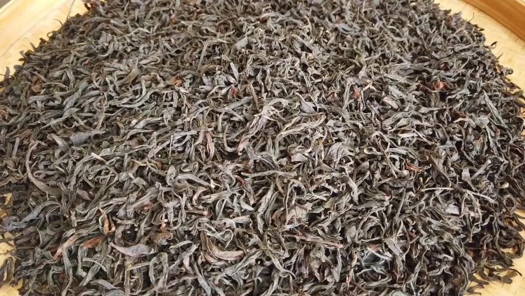 坦洋工夫红茶与普通红茶的区别,岩茶和坦洋工夫红茶的当家品种