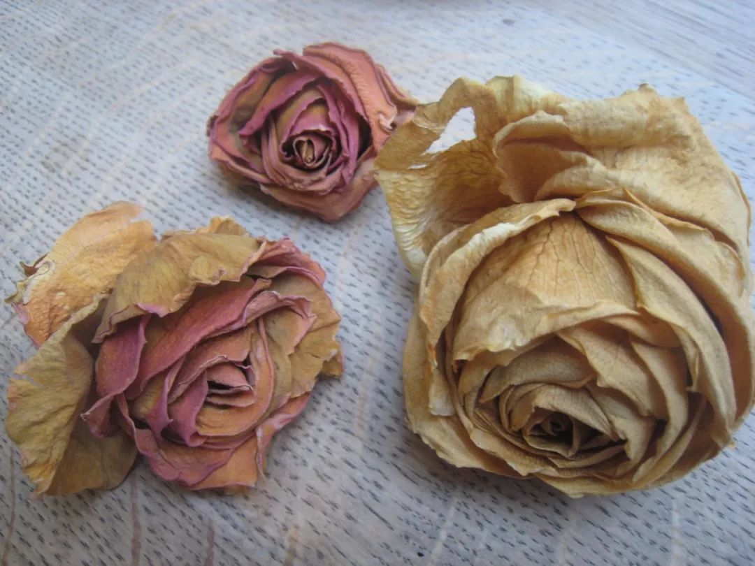 如何制作不变色好看的干花,制作干花怎么把花弄开