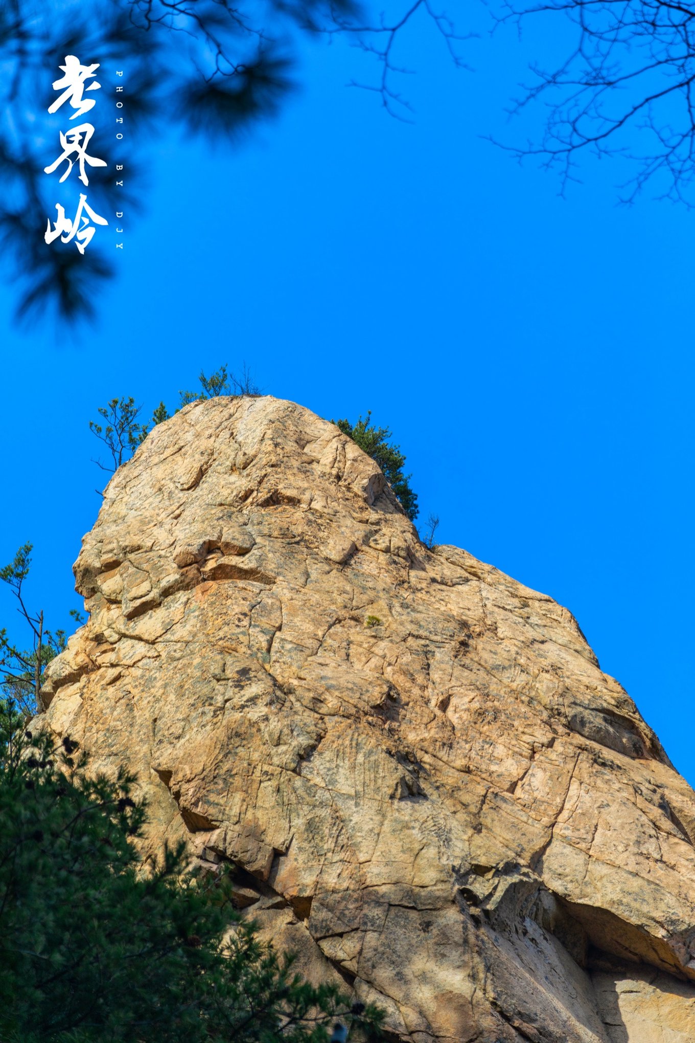 游览老界岭的感悟,河南老界岭景区