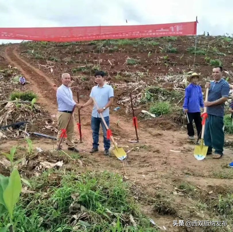 幸福打洛产业振兴路上瓜果飘香