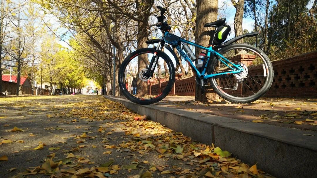 旅顺值得买房吗,旅顺房子升值前景