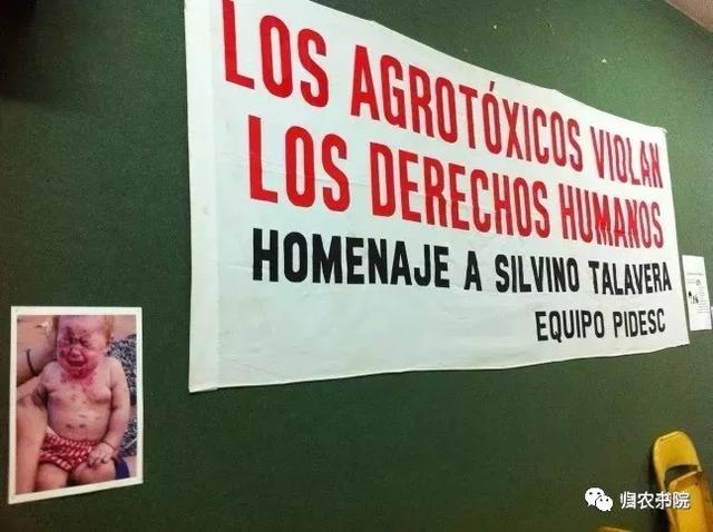 中国年年进口的大豆，为何让巴拉圭从富饶变得死寂？