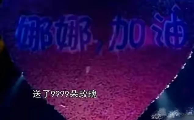 谢娜的情感史,谢娜感情经历