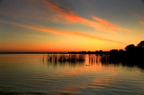 沈阳必去的三大景点沈阳森林公园,沈阳有哪些好玩的旅游景点