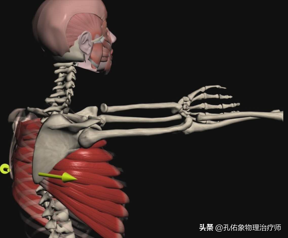 颈椎病引起的手麻颈肩痛怎么治疗,颈肩痛除了颈椎病还有哪些病