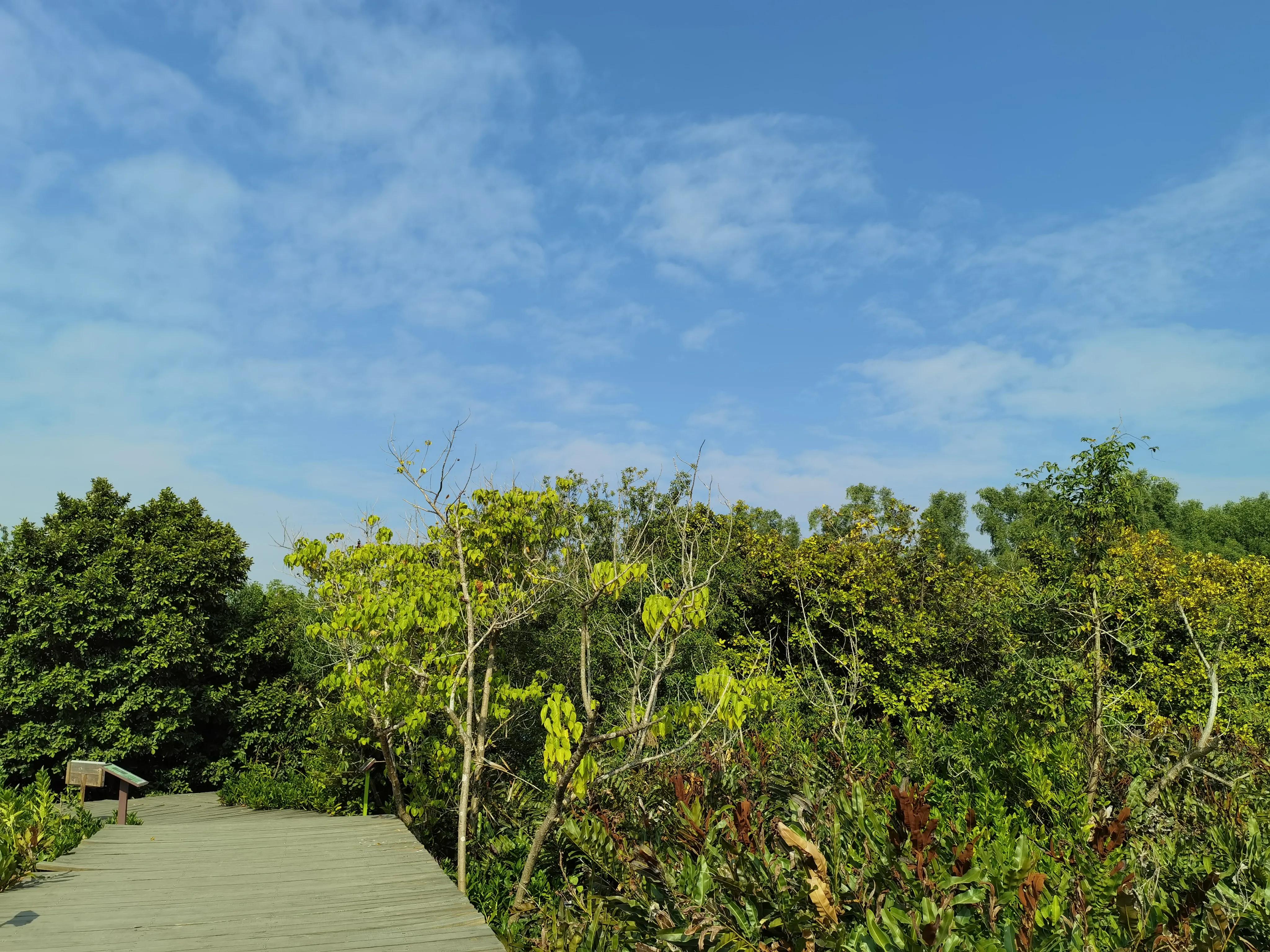 珠海4天3晚游玩攻略,珠海3天游玩攻略图