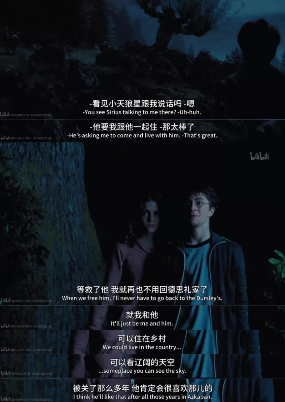 哈利波特的一生,哈利波特人物一生回忆录