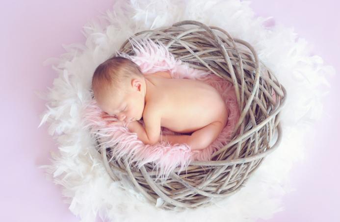 蒲地蓝儿童药有哪些,小儿慎用蒲地蓝