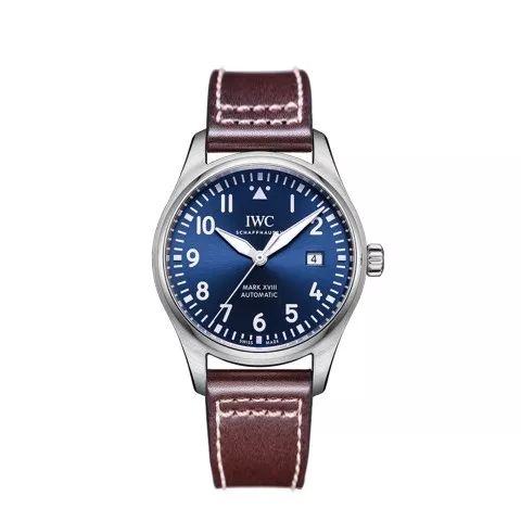 回家过年戴什么饰品好看,万国手表和浪琴哪个手表好